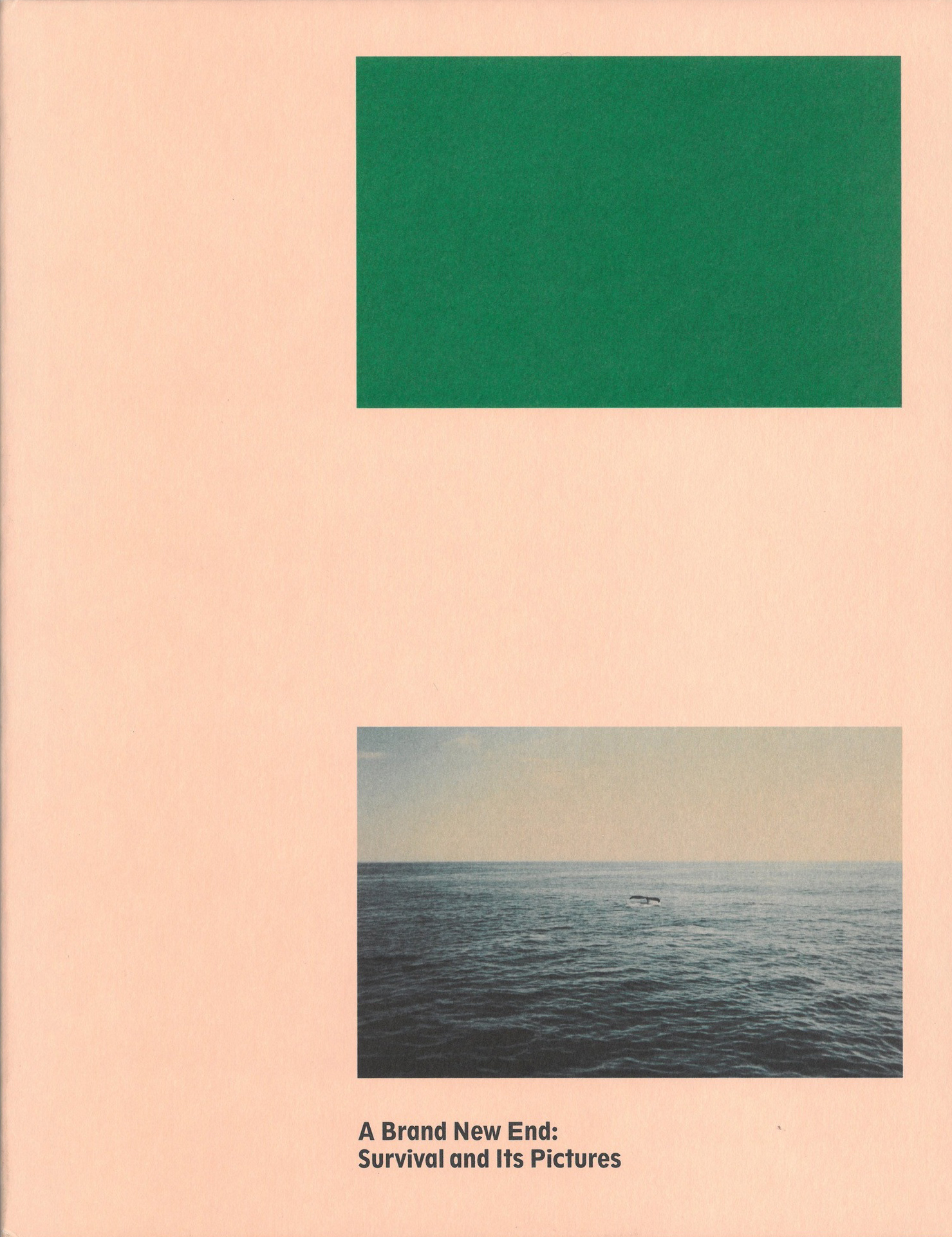 Carmen Winant, A Brand New End: Survival and its Pictures