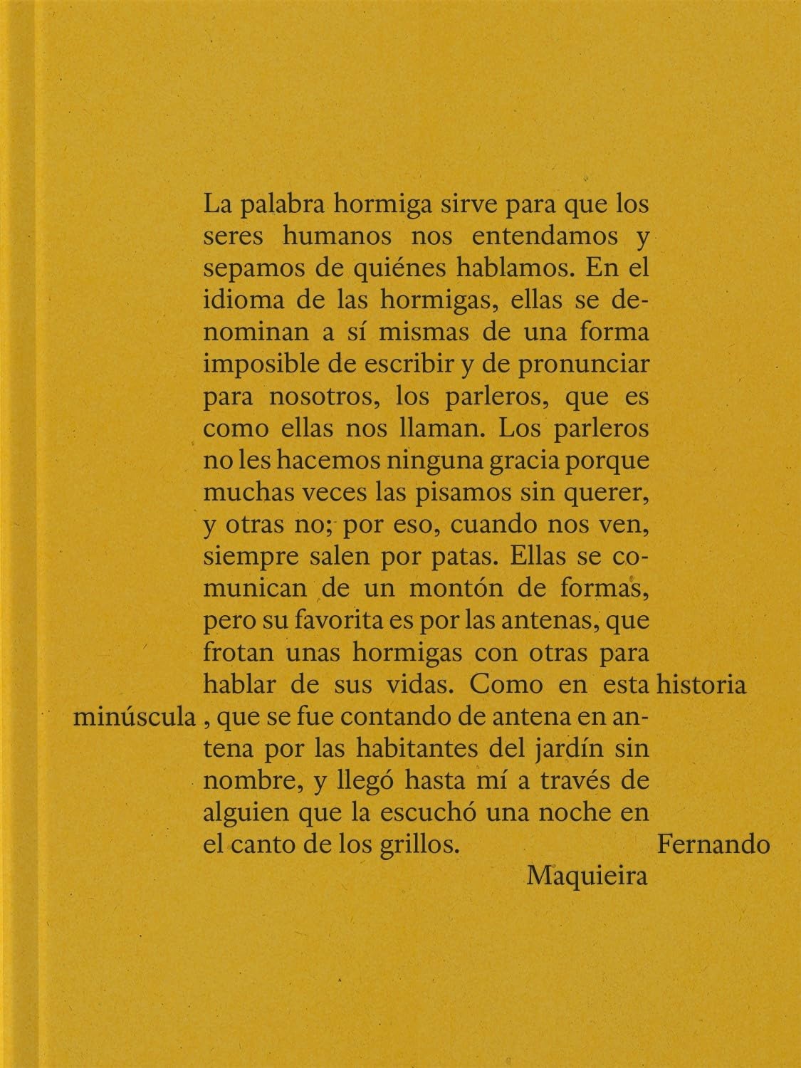 Fernando Maquieira, A Tiny Story