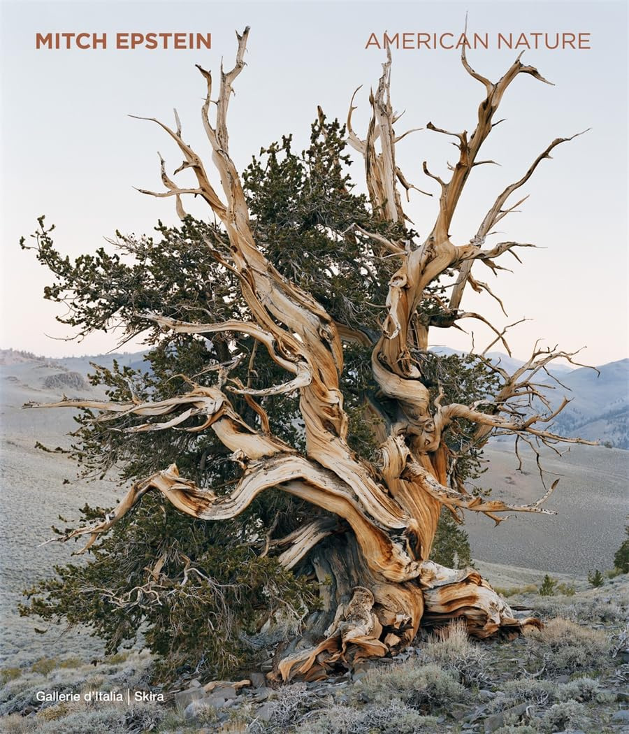 Mitch Epstein, American Nature