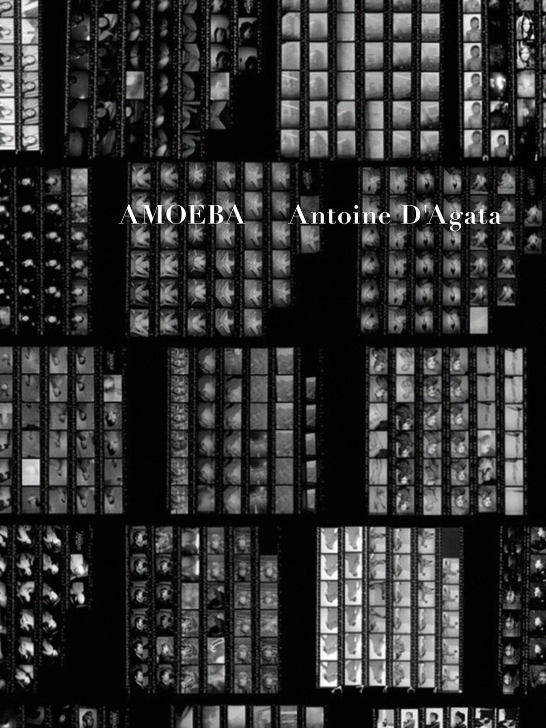 Antoine d'Agata, Amoeba