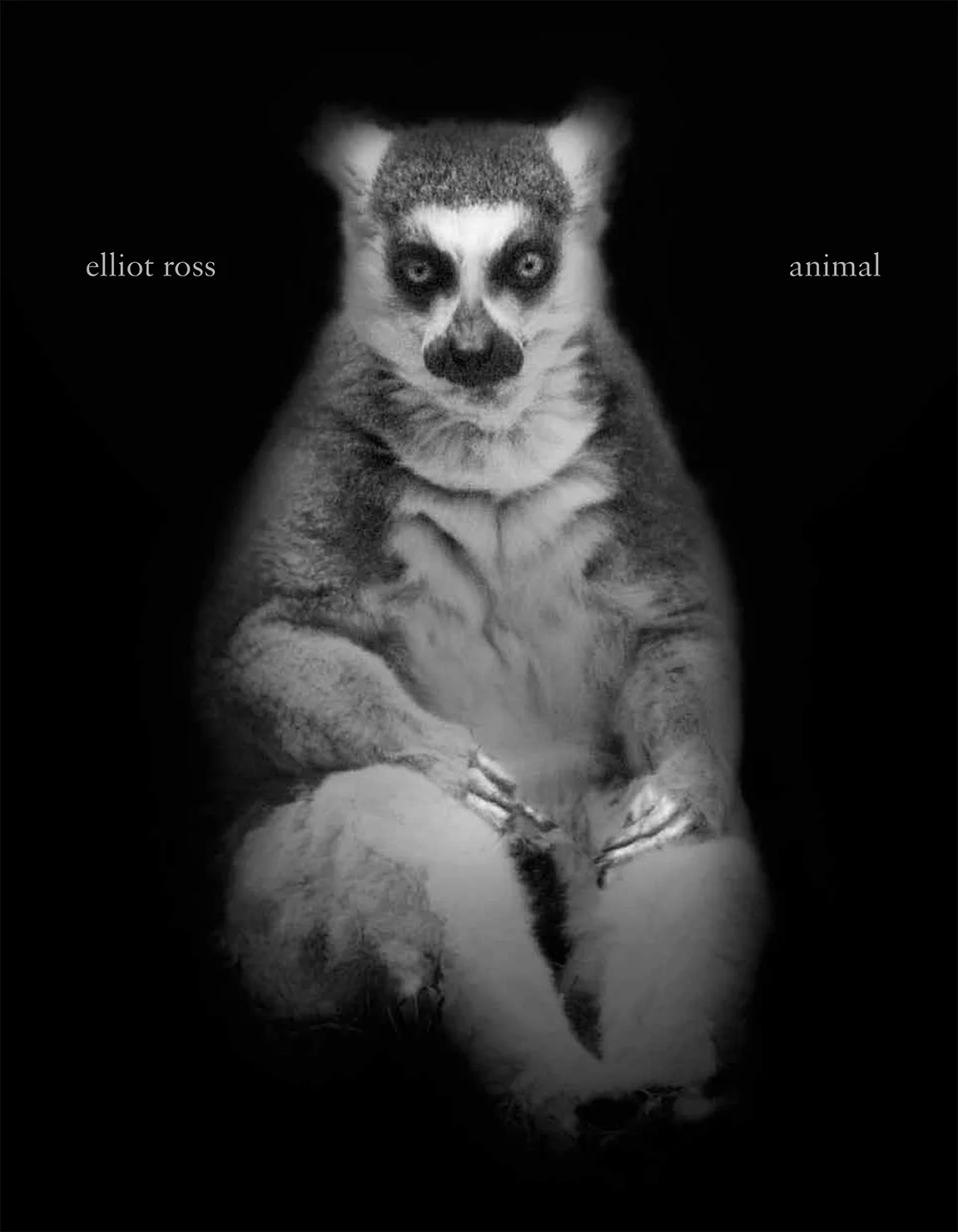 Elliot Ross, Animal