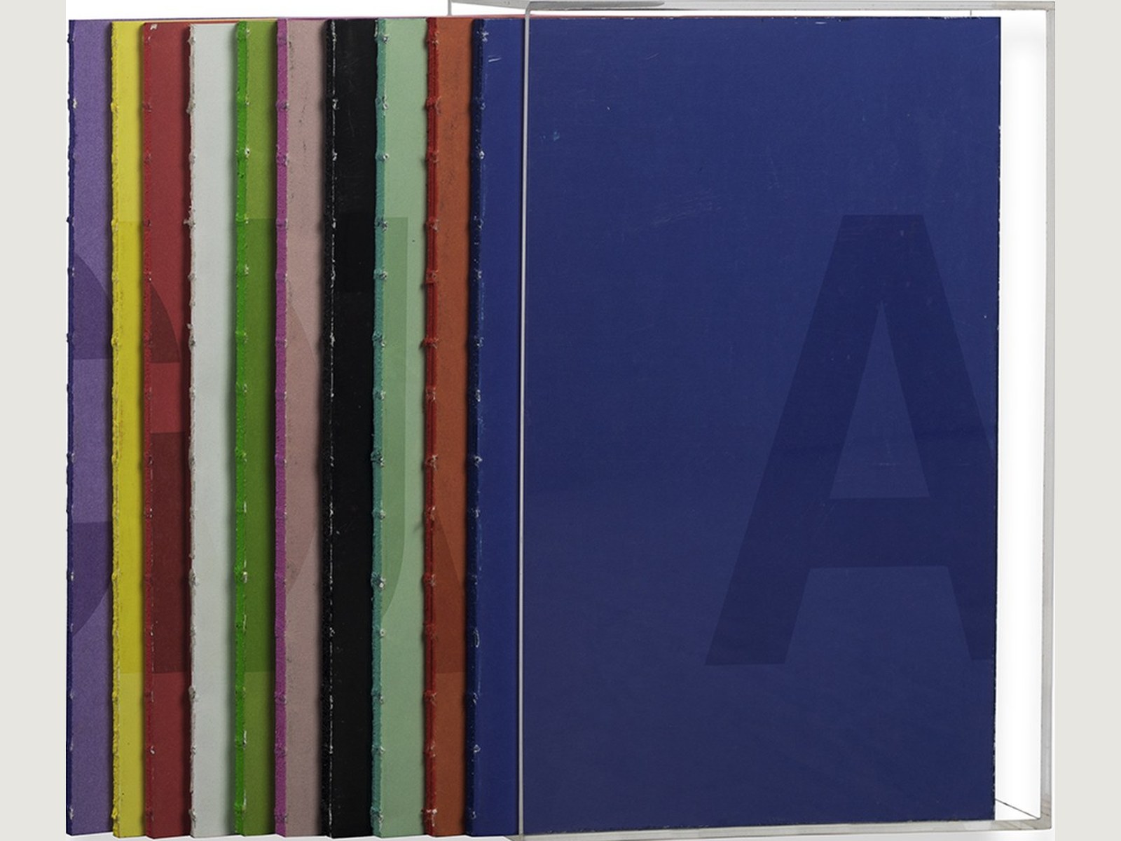 Anouk Kruithof, Automagic