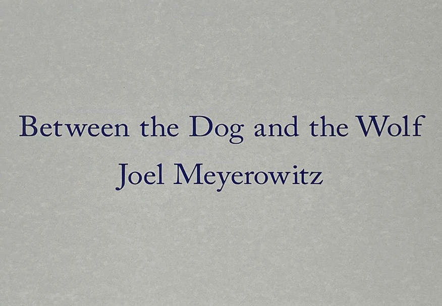 Joel Meyerowitz, Between the Dog and the Wolf