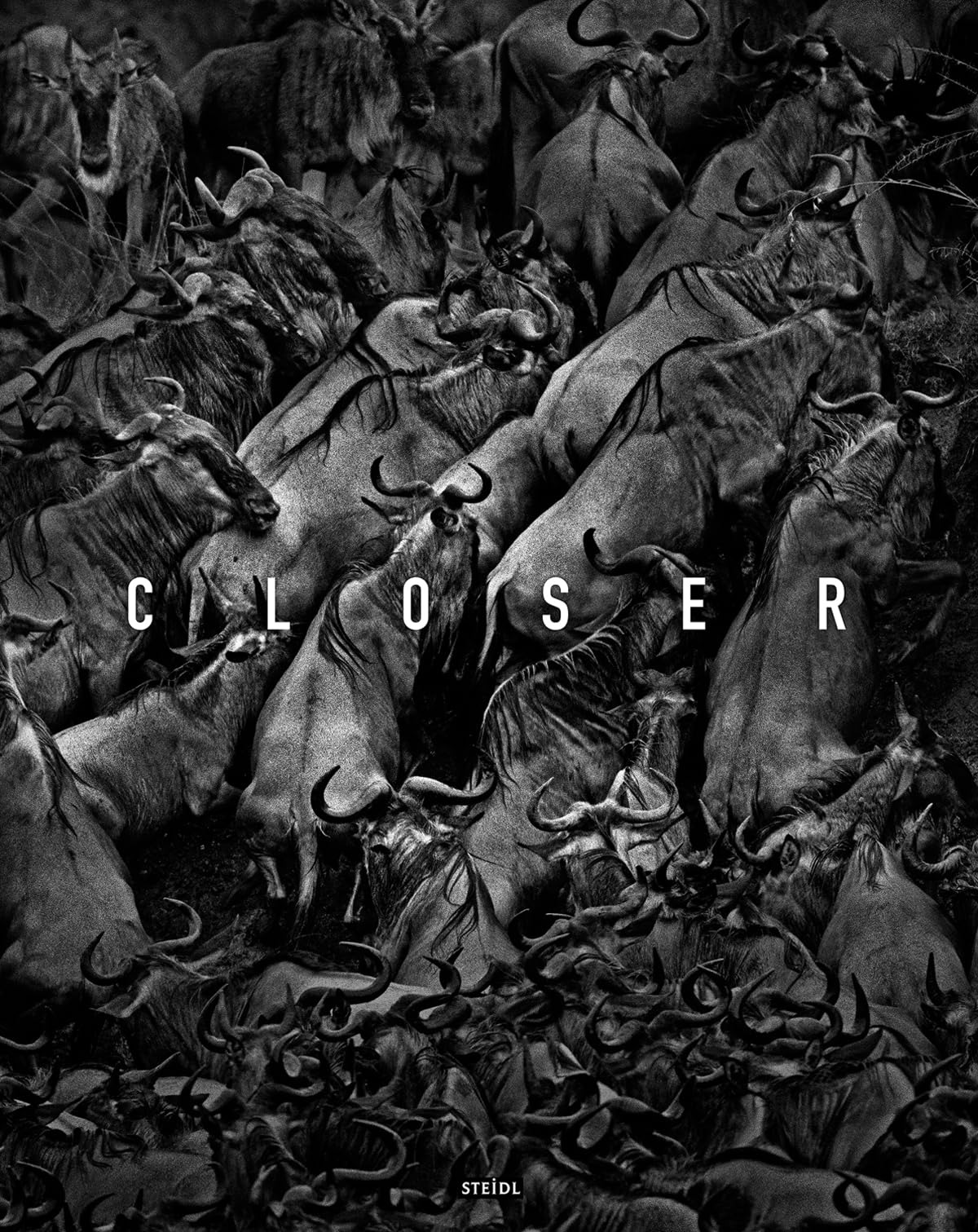 Tomasz Gudzowaty, Closer