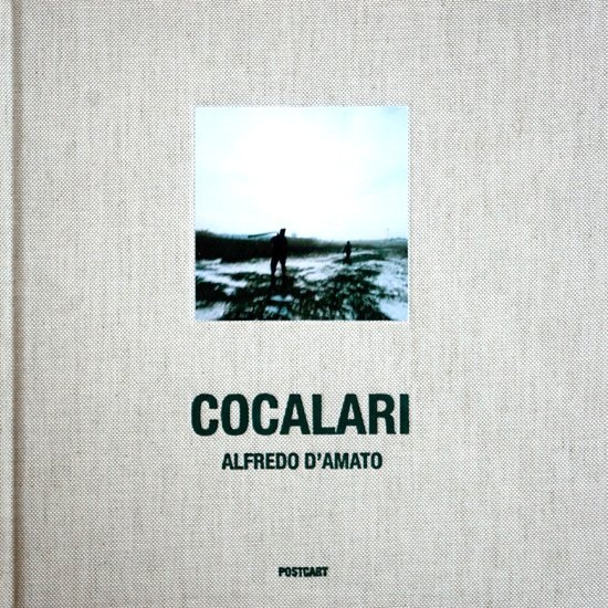 Alfredo D’Amato, Cocalari. Iron People of Bucharest