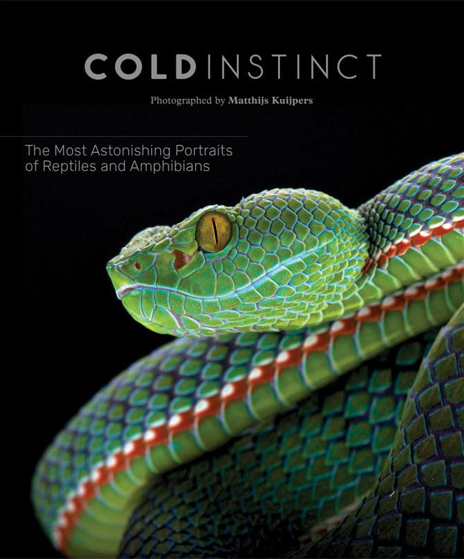 Matthijs Kuijpers, Cold Instinct