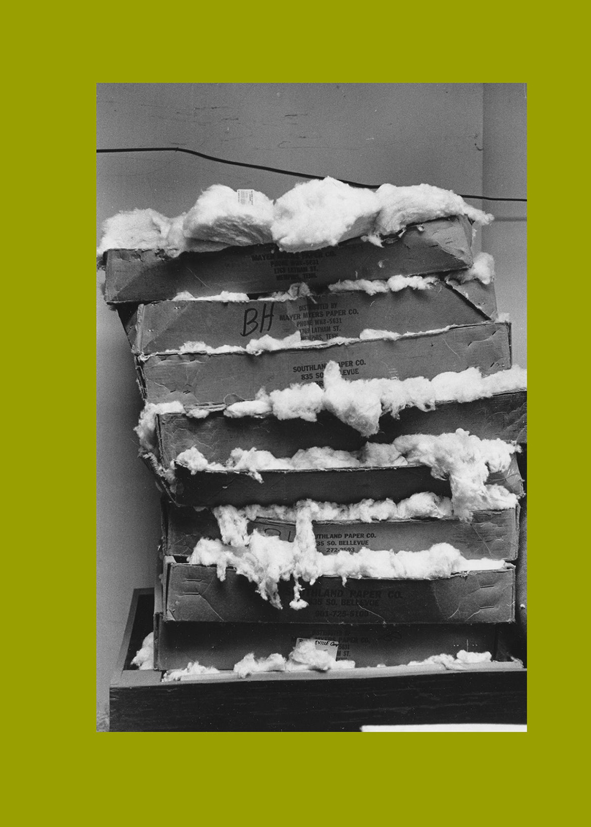 Mark Cohen, COTTON