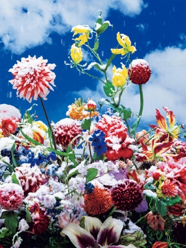 Mika Ninagawa, Eternity in a Moment vol.1