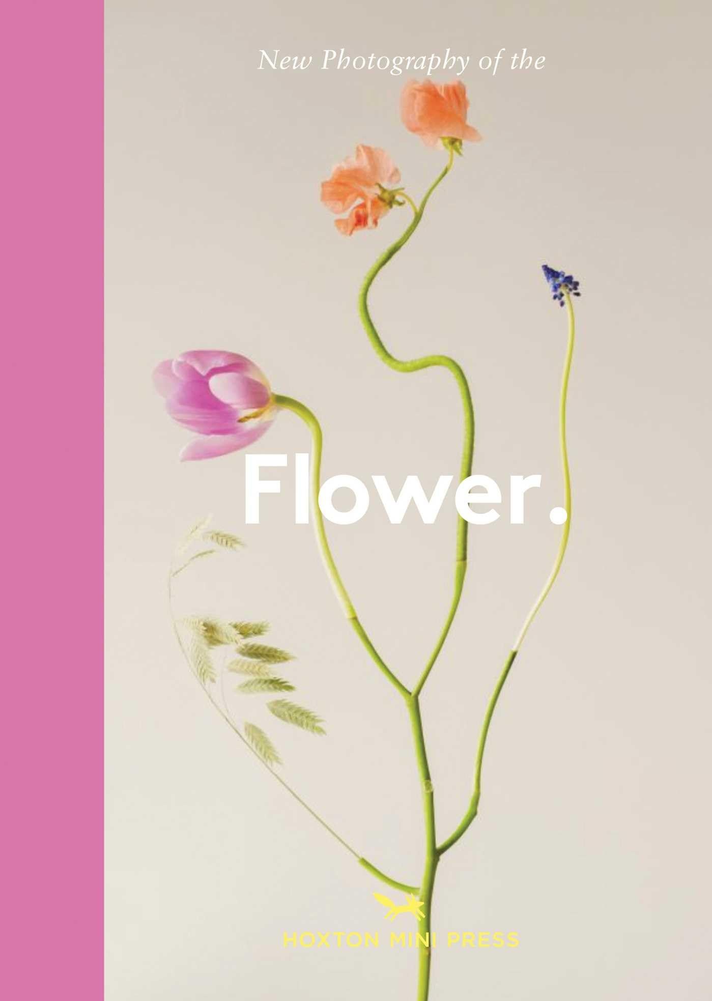 Various Authors, Flower.