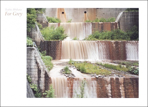 Toshio Shibata, For Grey