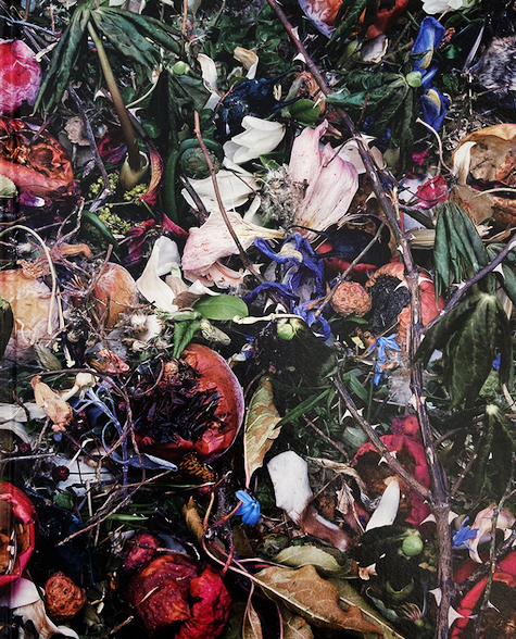 Tanya Marcuse, Fruitless | Fallen | Woven