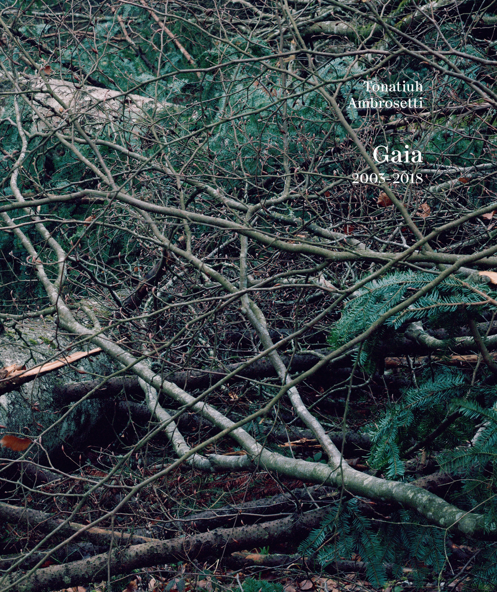 Tonatiuh Ambrosetti, Gaia 2003-2018