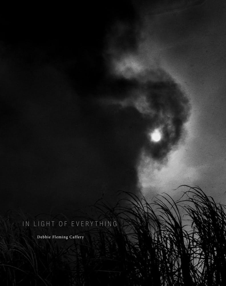 Debbie Fleming Caffery, In Light of Everything