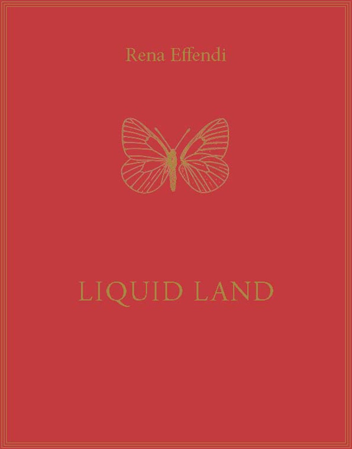Rena Effendi, Liquid Land