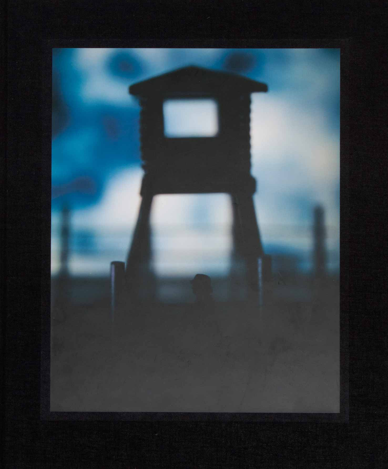 David Levinthal, Mein Kampf