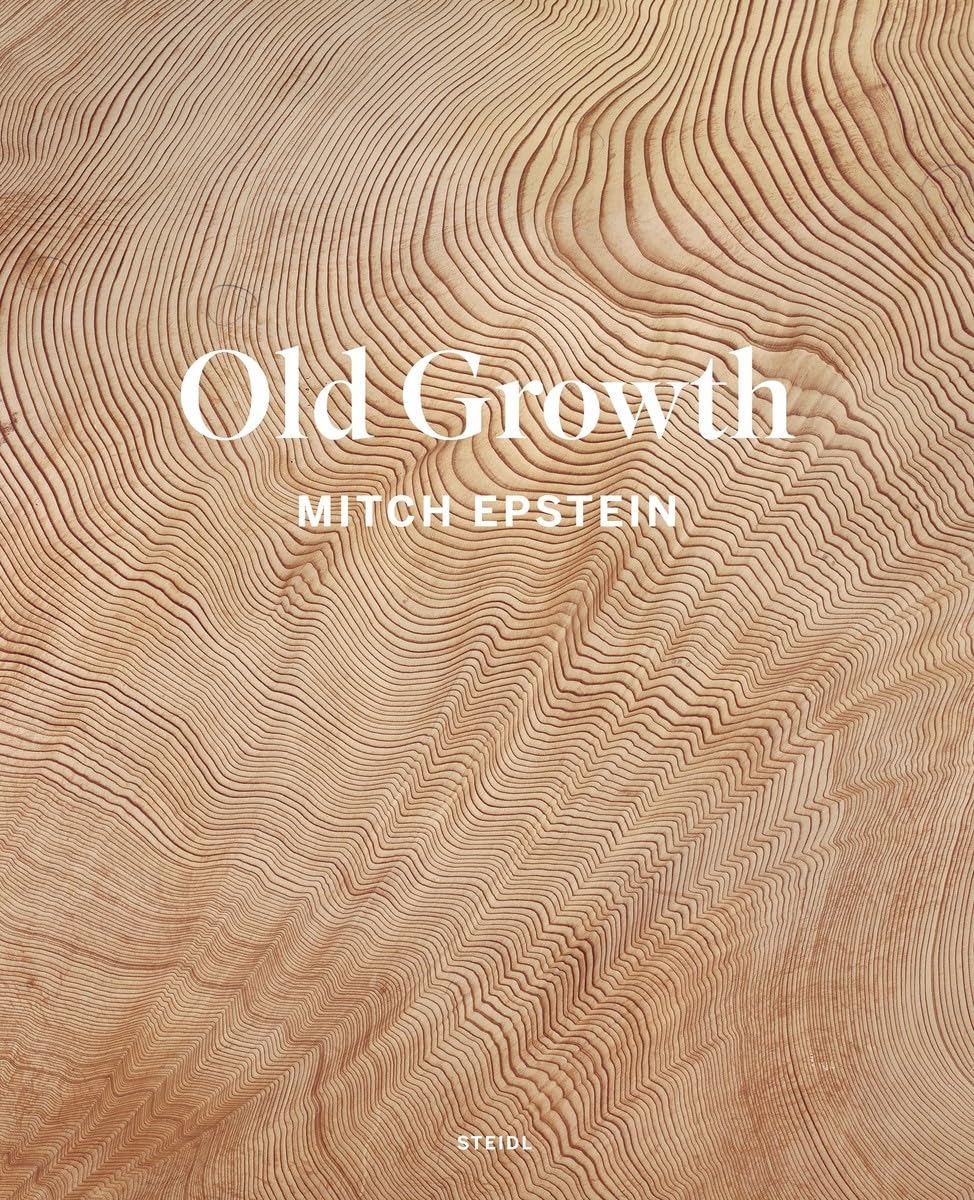 Mitch Epstein, Old Growth