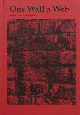 Stanley Wolukau-Wanambwa, One Wall a Web