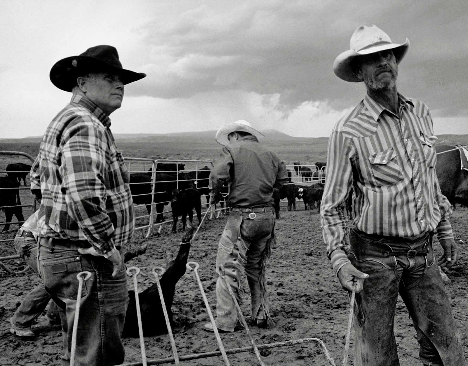 John Langmore, Open Range