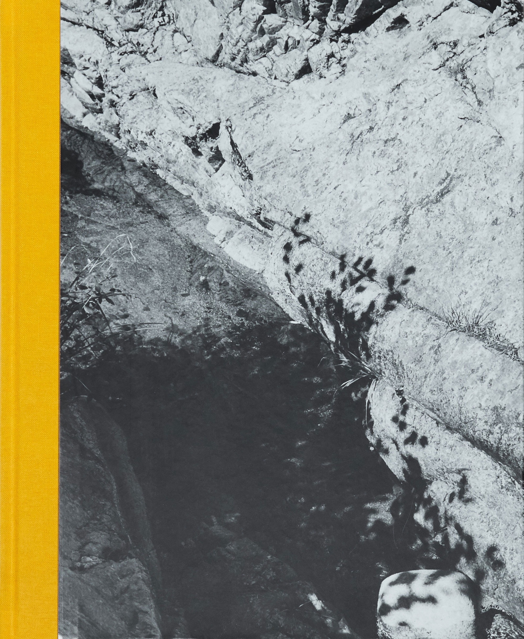 Various Authors, Palm Book