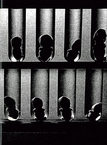 Daido Moriyama, Pantomime