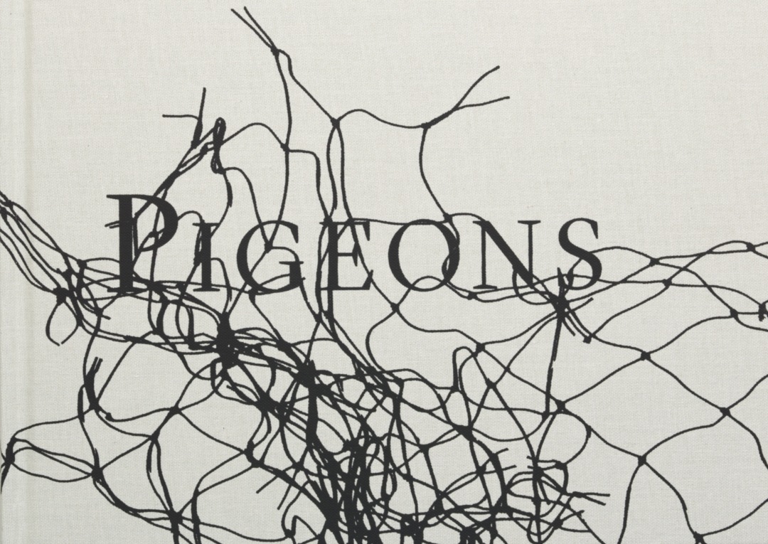 Stephen Gill, Pigeons
