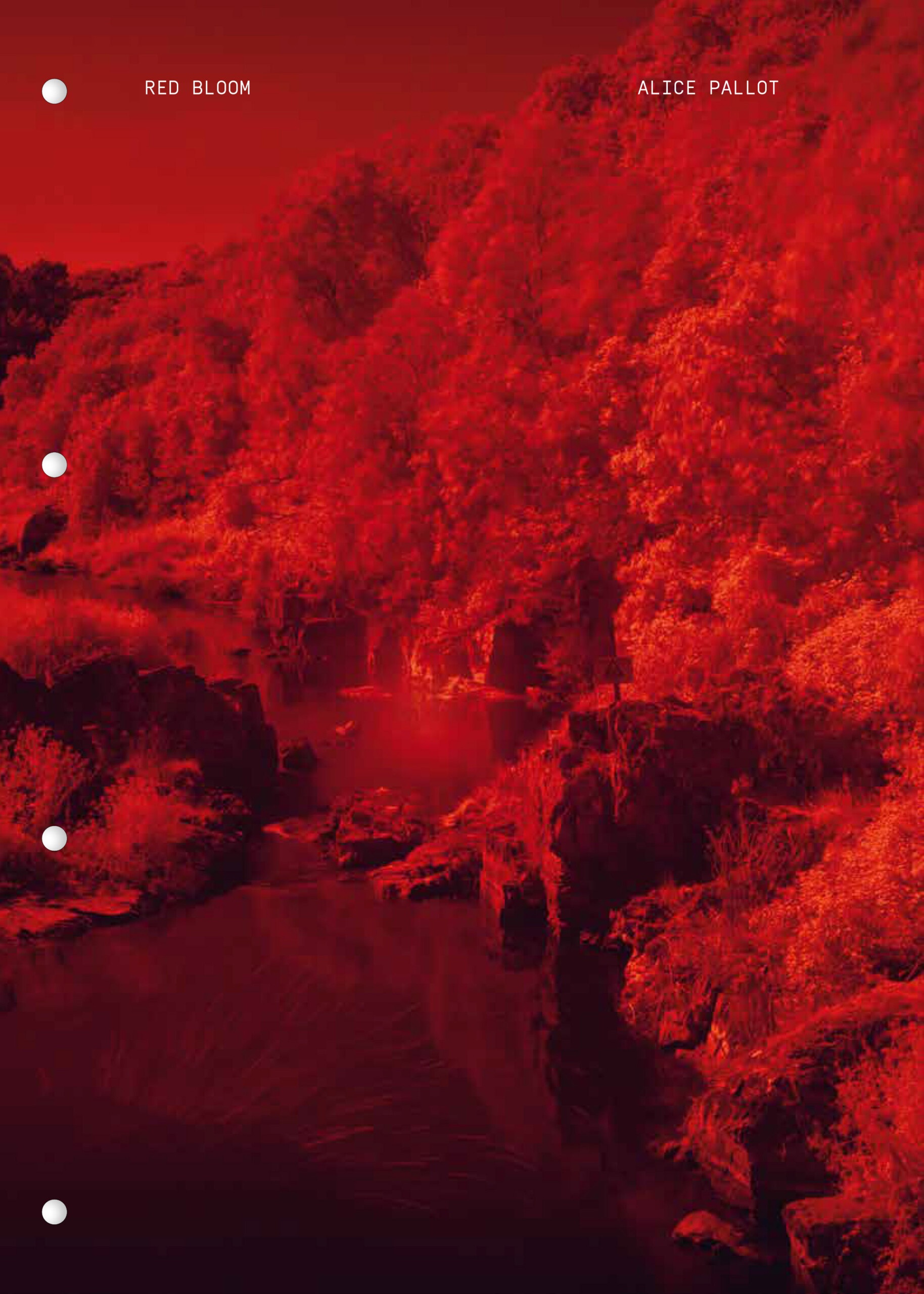 Alice Pallot, Red Bloom