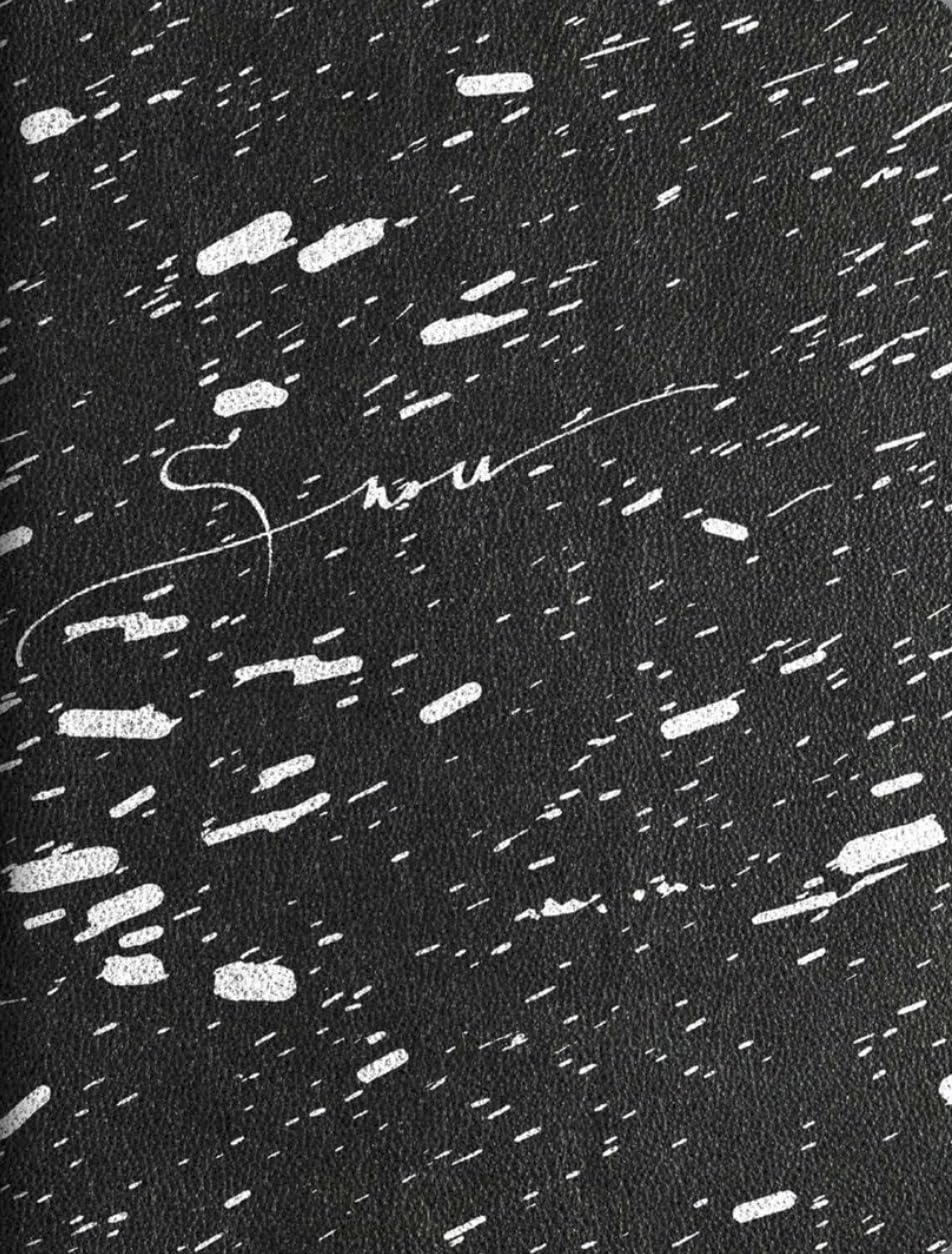 Vanessa Winship, Snow