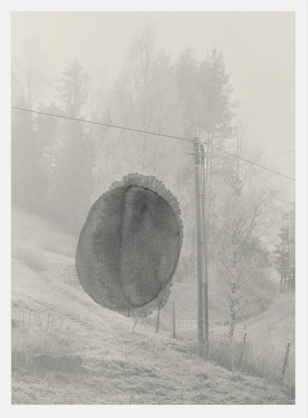 Ola Rindal, STAINS & ASHES