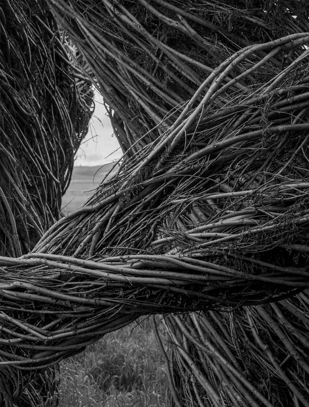 Patrick Dougherty, James Florio, Sticks