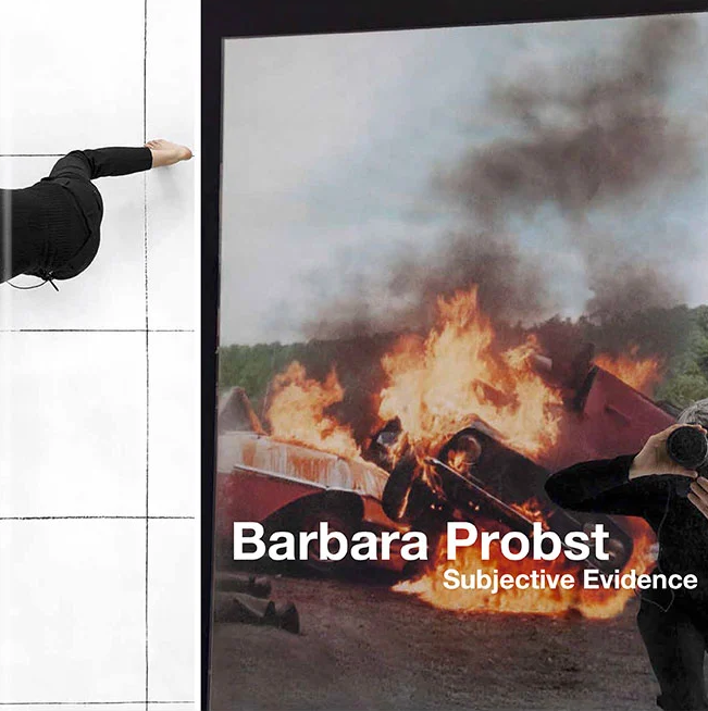 Barbara Probst, Subjective Evidence
