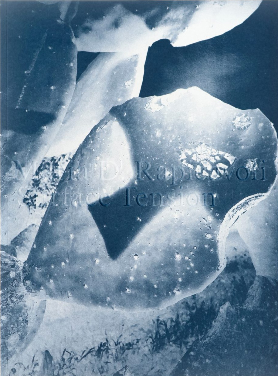 Maria D. Rapicavoli, Surface Tension