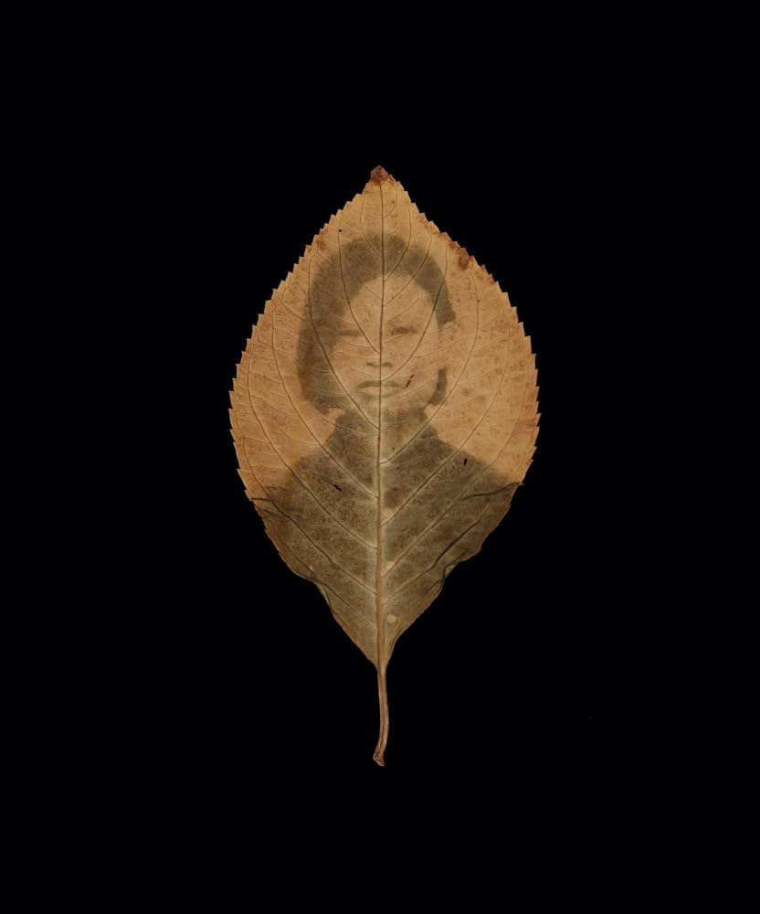 Binh Danh, The Enigma of Belonging