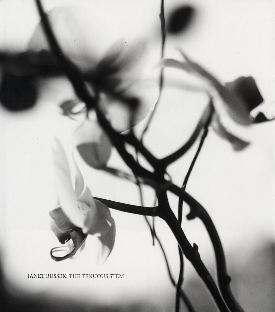 Janet Russek, The Tenuous Stem