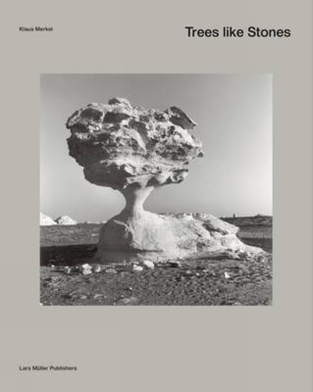 Klaus Merkel, Trees like Stones