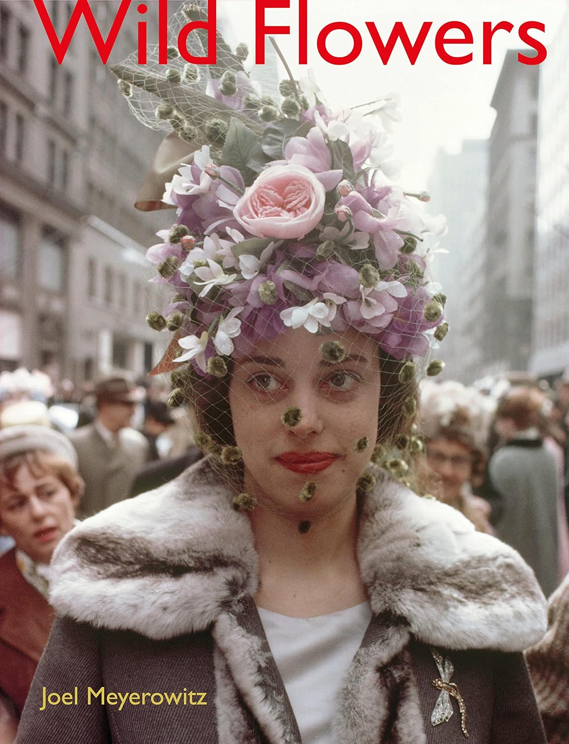 Joel Meyerowitz, Wild Flowers