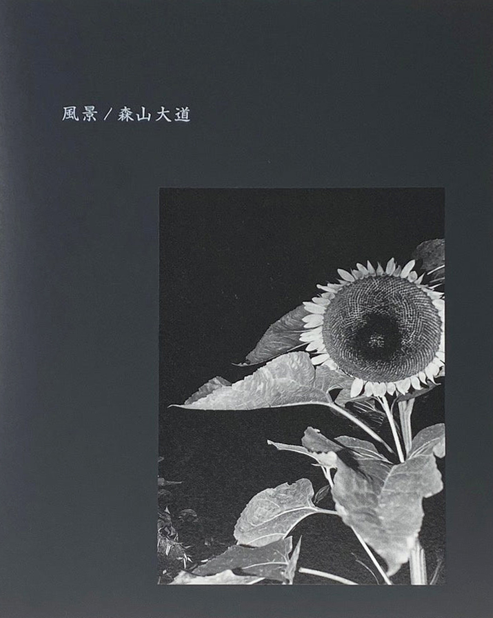 Daido Moriyama, 風景 Fukei